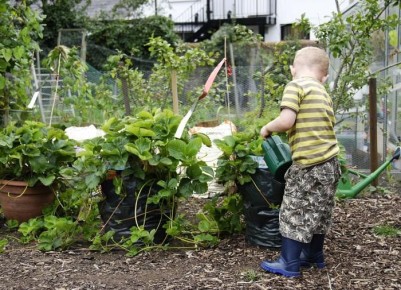 �������: ��������� ��������� ��� ������ ����