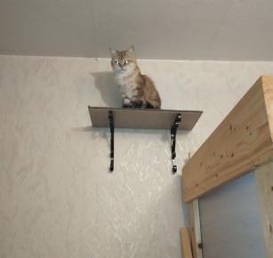 ����������� ���������� �����: ��� ������� ������� ���� ������ ��� �����