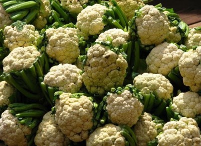 ��� ��������� ������� ������ ������� �������