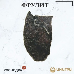В эту среду ЦНИГРИ. расскажет о фрудите