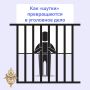 «Ложное сообщение — реальный срок»: ответственность за заведомо ложные сообщения о теракте