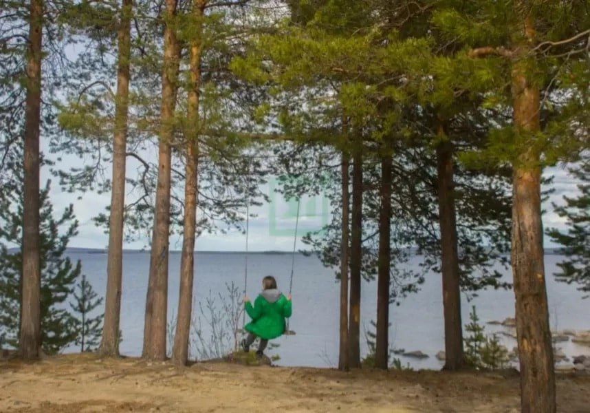 Доброе утро, Заполярье!. Теплые дни в области – отличный повод выбраться на природу, и одним из самых красивых мест для отдыха многие называют Татьянин мыс на берегу Колвицкого озера