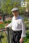 Тюльпановая сказка на улице Софьи Перовской: как 86-летний энтузиаст создает цветочный рай в Мурманске