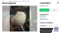 Житель Мурманска выставил на продажу «яйцо дракона» за 1,5 млн рублей