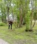 Работа городских служб не прекращается ни на день, чтобы общественные пространства города-героя оставались ухоженными
