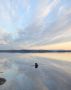 В Кандалакше заметили моржиху с детенышем