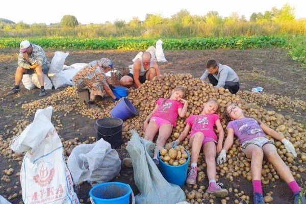 Осенние радости на даче: как провести время весело и с пользой
