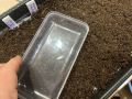 ��������� ����� ������: ��� ��������� ������ ������ ������ � �������