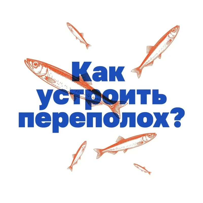 Как стать звездой Дня рыбака? Как стать звездой Дня рыбака?