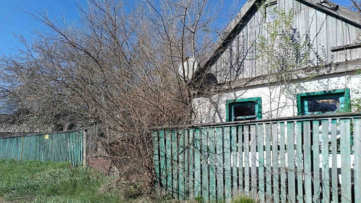 Весеннее обновление: Когда и как правильно обрезать деревья и кустарники в марте