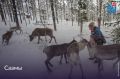 Саамы – коренной народ северной Европы (Лапландии)