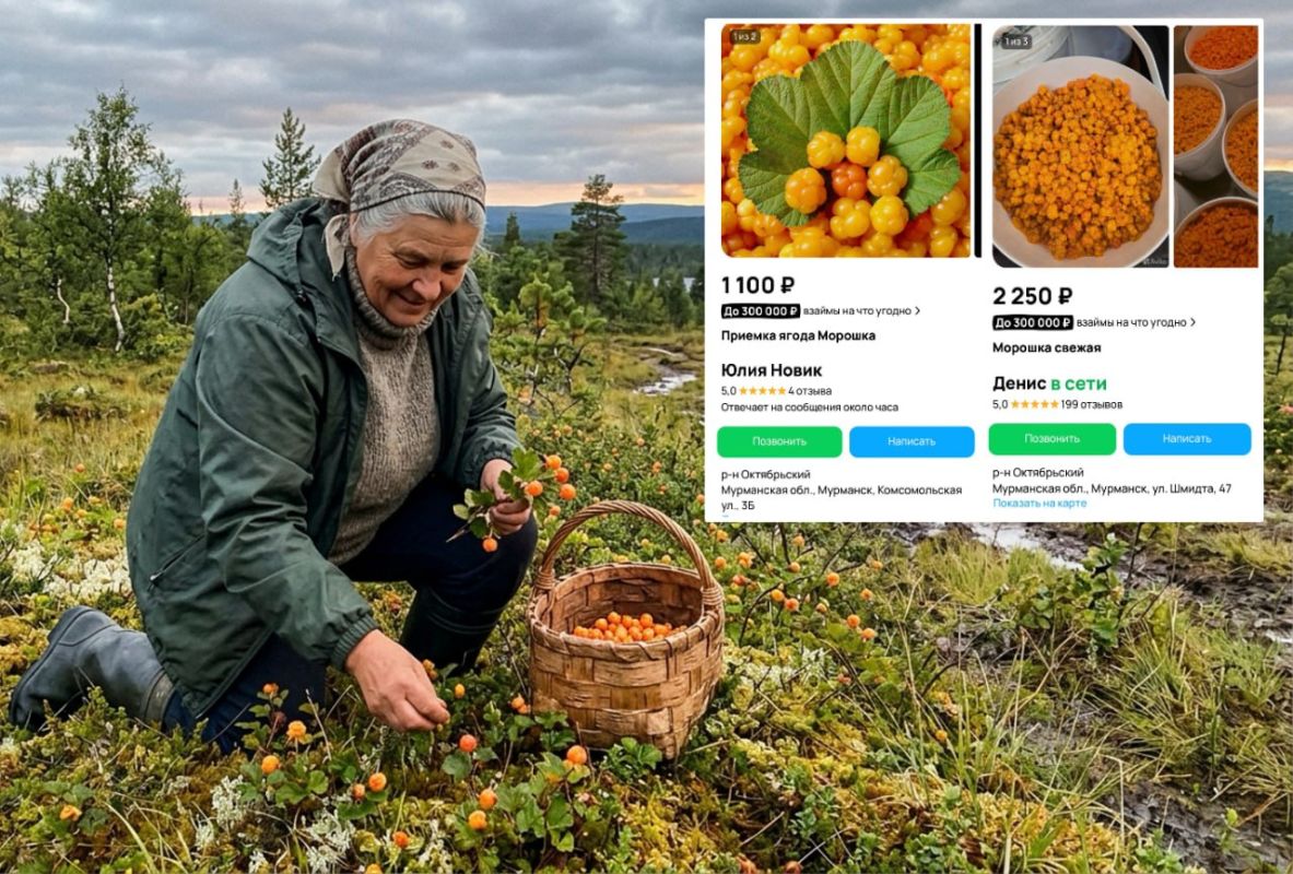 В Мурманске начали продавать первую морошку сезона