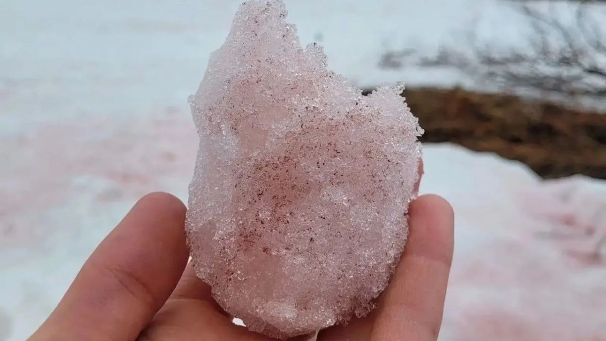 Летом в Хибинах пахнет спелым арбузом