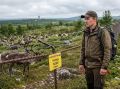 Норвежские олени сбежали в Мурманскую область