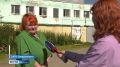 Временный дом для хвостатых бедолаг: в Дровяном переоборудуют кирпичные строения в приют для собак и кошек