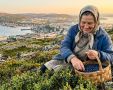 Северяне открывают сезон черники