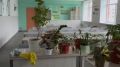 Школу в Зеозерске ждет ремонт