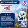 Сегодня — День дружбы!. Поздравляем вас! Пусть рядом будут те, с кем тепло и надежно!