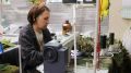Мурманские волонтёры отшили партию маскировочных пончо для бойцов