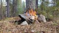 Пожароопасный сезон в Мурманской области завершился