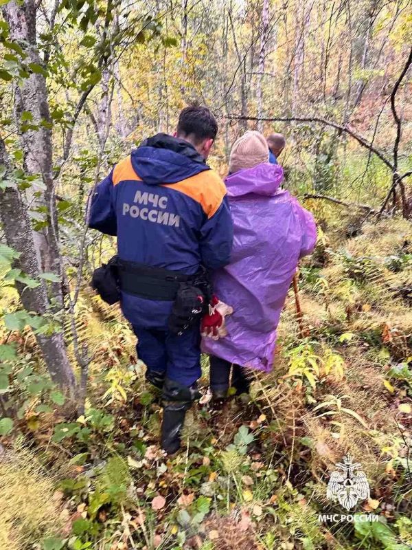 Мурманские спасатели помогли 80-летней северянке воссоединиться с семьей