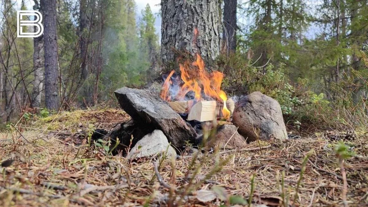 Пожароопасный сезон в Мурманской области завершился