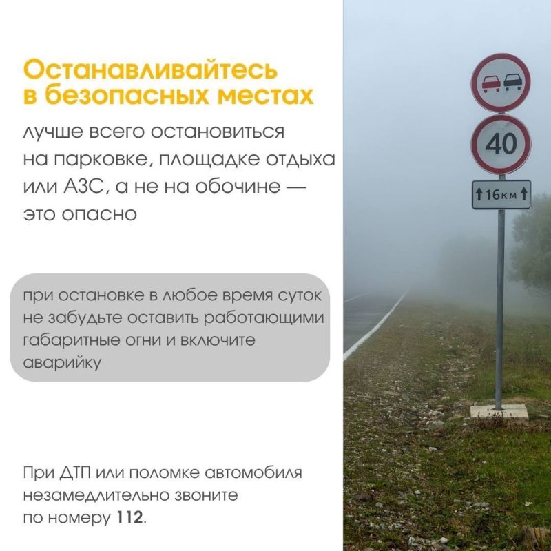 Вести машину в тумане опасно Вести машину в тумане опасно