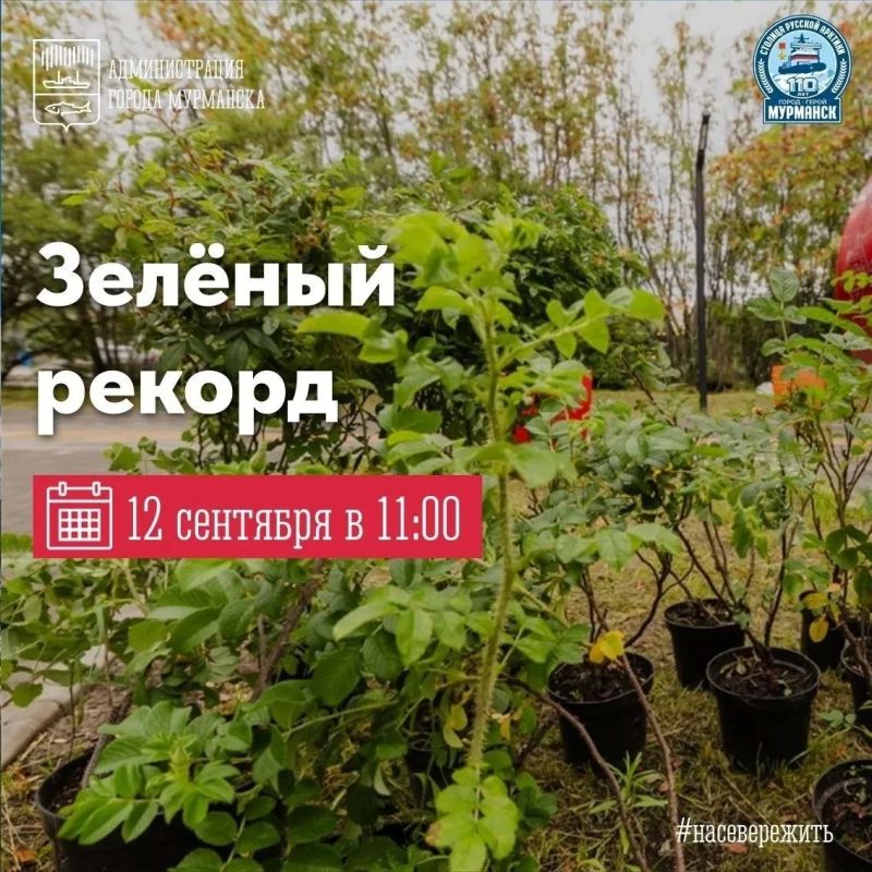 В эти выходные в регионе запланированы классные мероприятия! В эти выходные в регионе запланированы классные мероприятия!