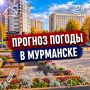 � ������ �����!.������� ������ �� 13 ��������: