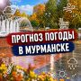 � ������ �����!.������� ������ �� 14 ��������: