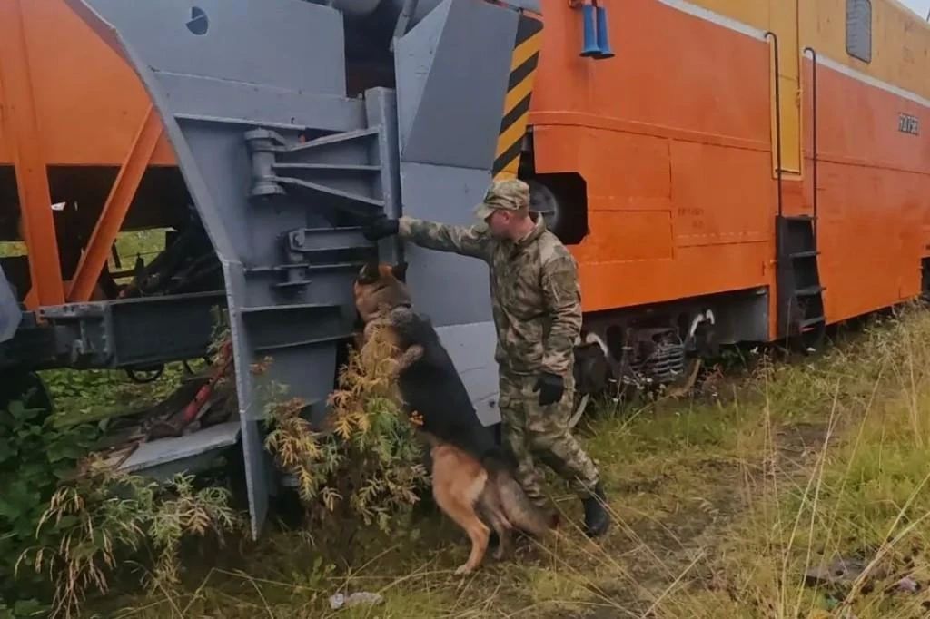 Кинологи УФСИН делились опытом со своими коллегами из других ведомств Кинологи УФСИН делились опытом со своими коллегами из других ведомств