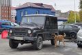 Кинологи УФСИН делились опытом со своими коллегами из других ведомств