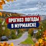 ������ ����!.������� ������ �� 16 ��������: