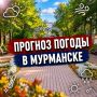 � ������ �����!.������� ������ �� 17 ��������:
