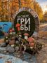 Грибной фестиваль в Мурманске стартовал!