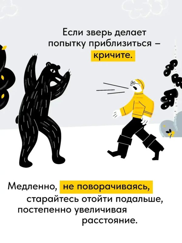 В лесу стоит быть осторожнее: медведи готовятся к зиме В лесу стоит быть осторожнее: медведи готовятся к зиме