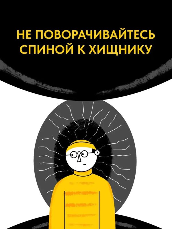 В лесу стоит быть осторожнее: медведи готовятся к зиме В лесу стоит быть осторожнее: медведи готовятся к зиме
