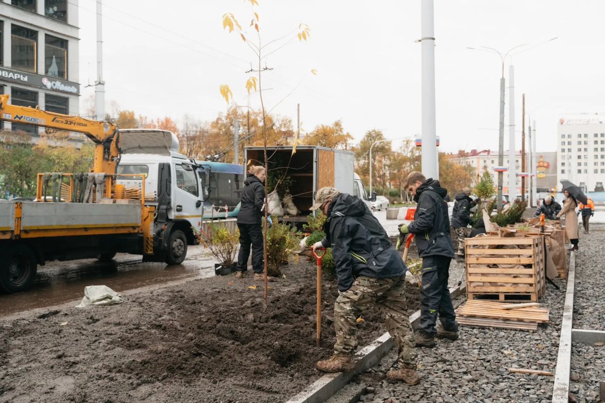 Проспект Ленина расцветает — в Мурманске началось новое озеленение! Проспект Ленина расцветает — в Мурманске началось новое озеленение!