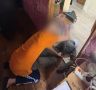 В Коле перед судом предстанет местный житель, обвиняемый в покушении на убийство