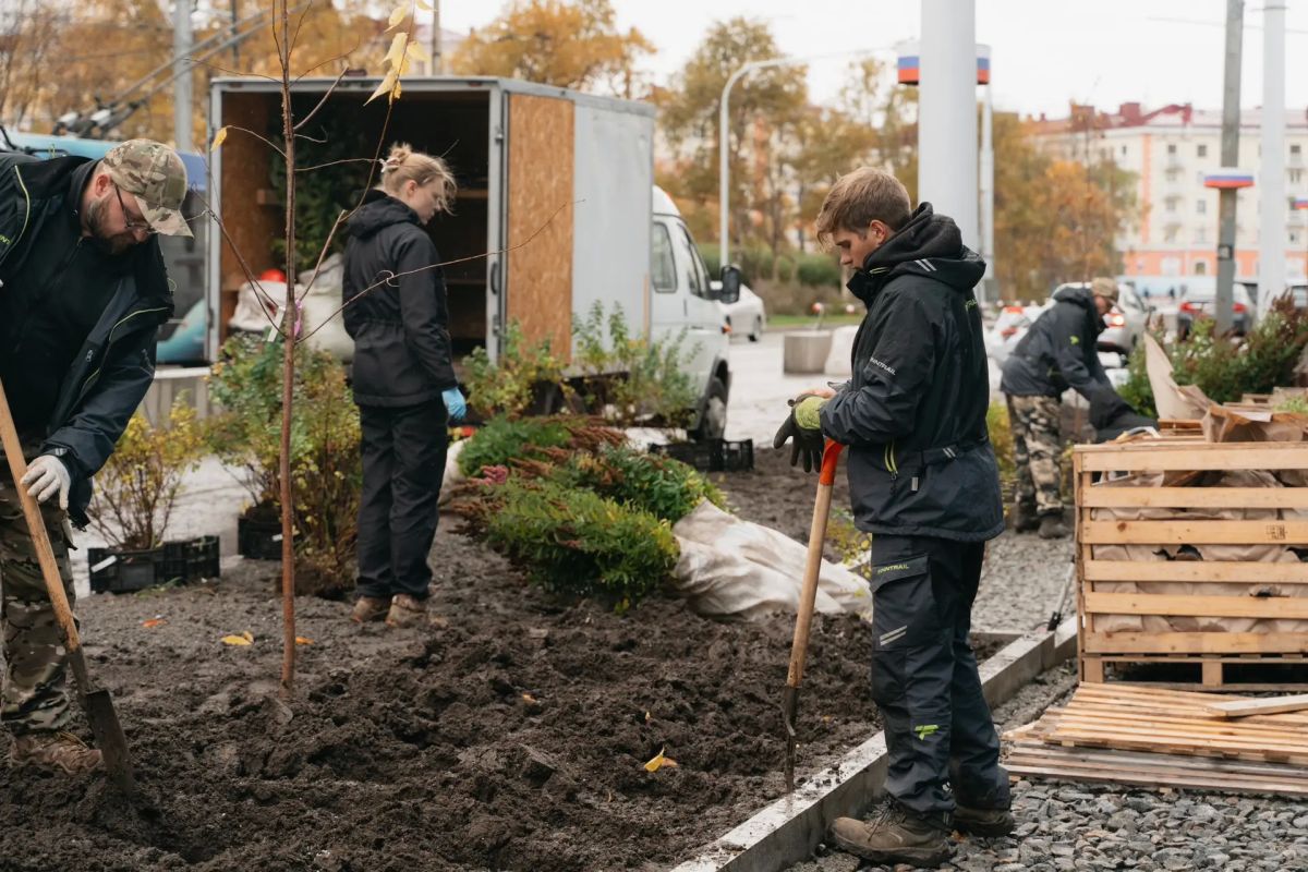 Проспект Ленина расцветает — в Мурманске началось новое озеленение! Проспект Ленина расцветает — в Мурманске началось новое озеленение!