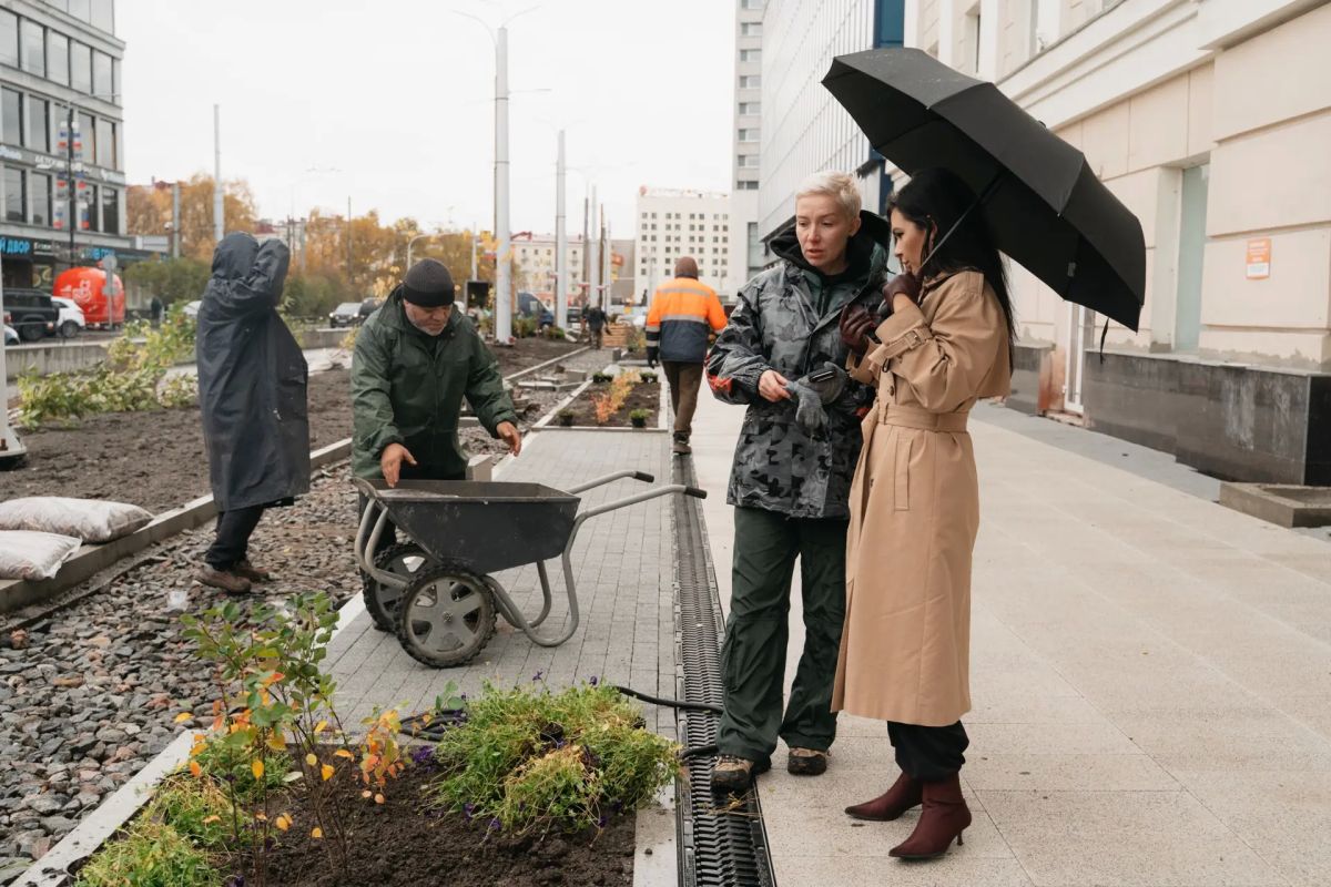 Проспект Ленина расцветает — в Мурманске началось новое озеленение! Проспект Ленина расцветает — в Мурманске началось новое озеленение!