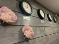 Не успели? Не опоздали!. Мы продлили регистрацию на бесплатный семинар для отельеров до 28 сентября (включительно)