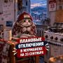 Плановые отключения в Мурманске