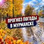 � ������ �����!.������� ������ �� 26 ��������: