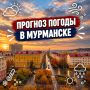 � ������ �����!.������� ������ �� 29 ��������:
