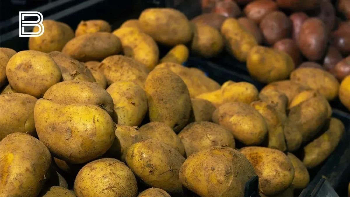 В Мурманской области за неделю резко подешевели картофель и морковь