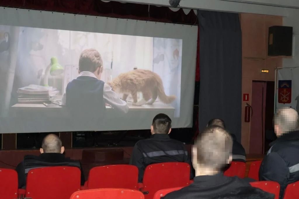 Осуждённые Мурманской области стали зрителями киномарафона «Северный характер» Осуждённые Мурманской области стали зрителями киномарафона «Северный характер»