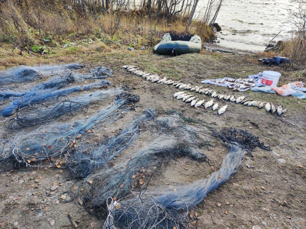 На севере Заполярья поймали браконьеров
