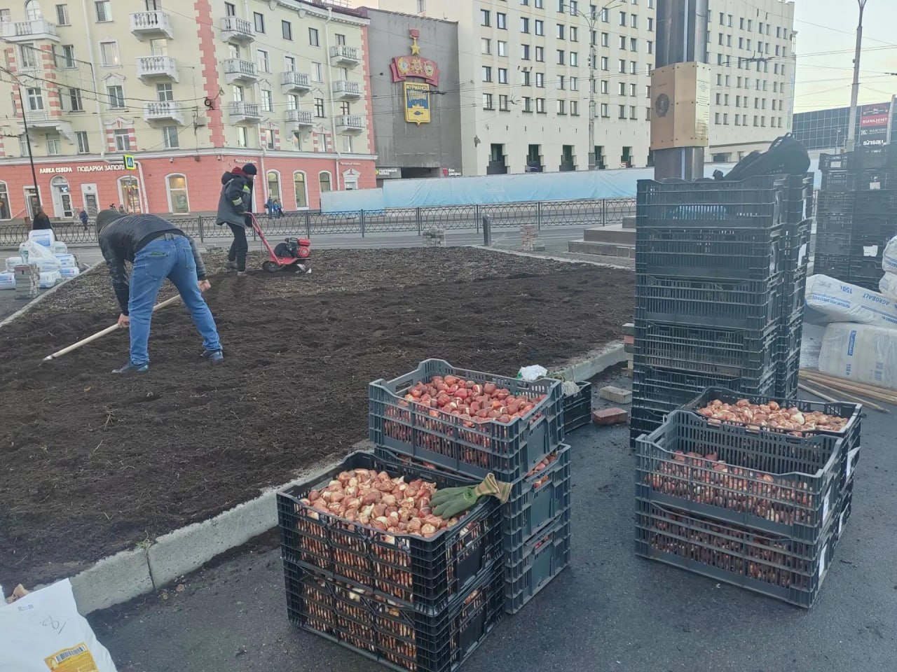В Мурманске готовят клумбы к следующему лету