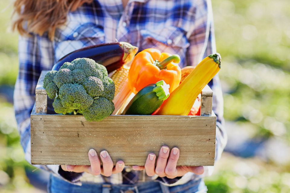 Как дачники подсчитывают невидимую выгоду от собственного огорода